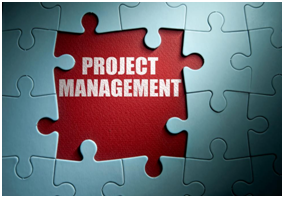 project management puzzle